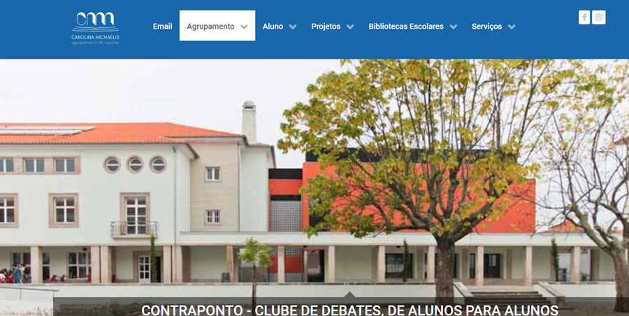 O Agrupamento de Escolas Carolina Michaelis e a Pandemia COVID-19