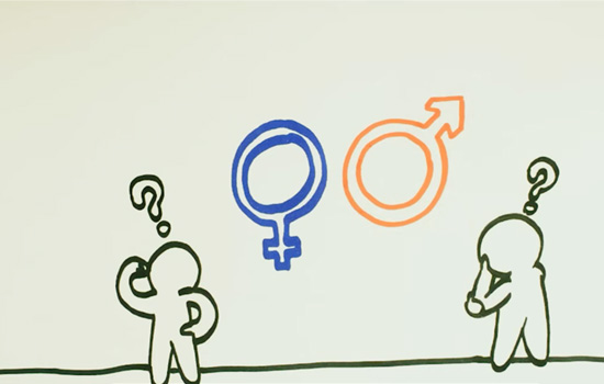 Diferença entre sexo, género, identidade de género e orientação sexual