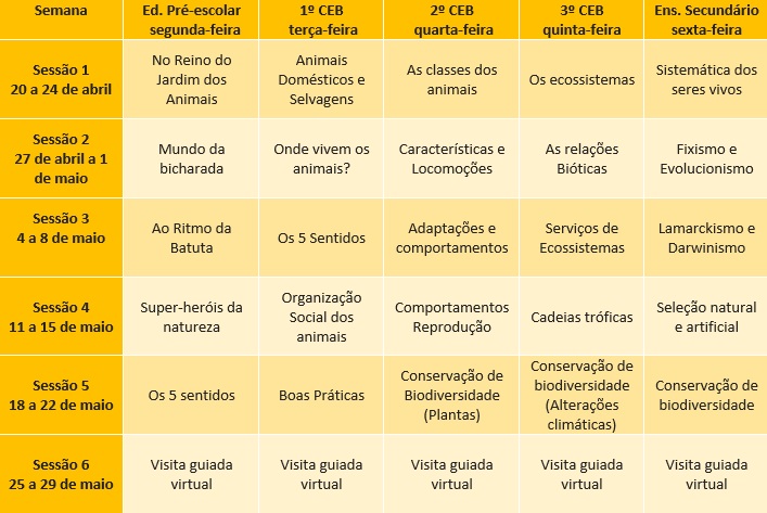 calendário
