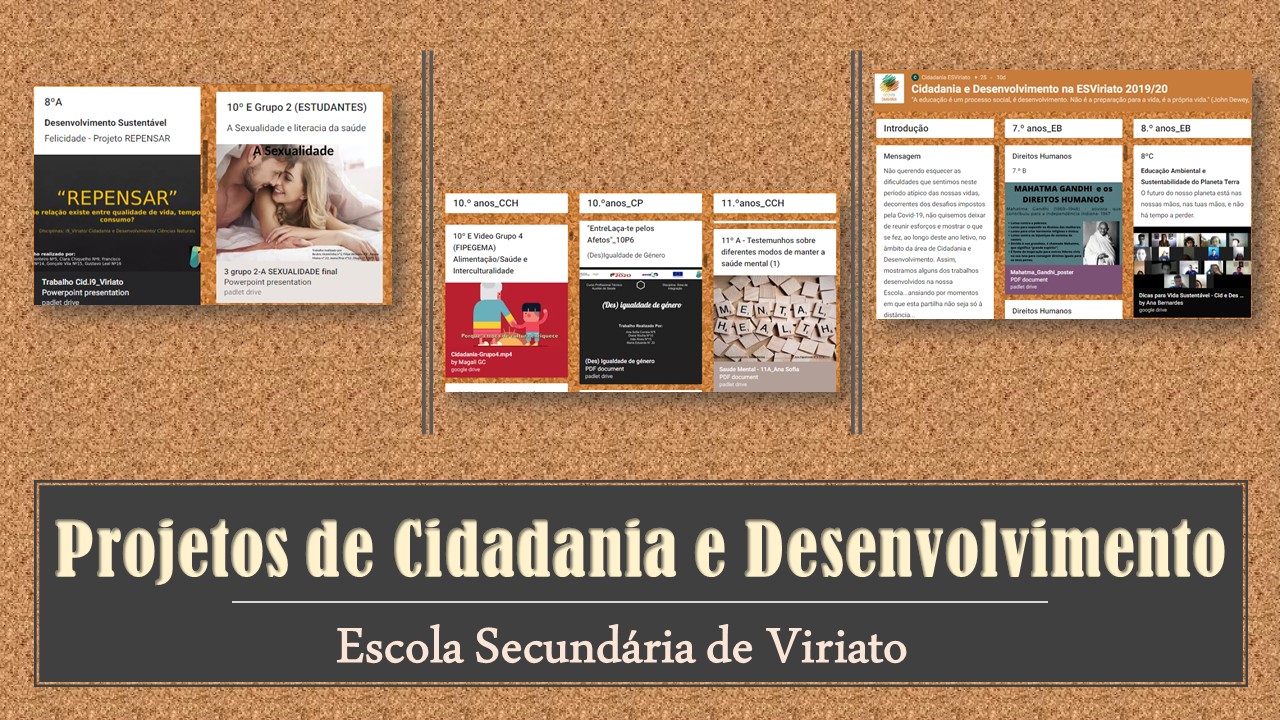Projetos de Cidadania e Desenvolvimento na Escola Secundária de Viriato