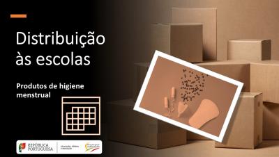 Calendário de entrega nas escolas dos produtos de higiene menstrual por concelho