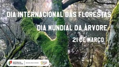 Dia Internacional das Florestas e Dia Mundial da Árvore