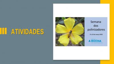 Semana dos Polinizadores