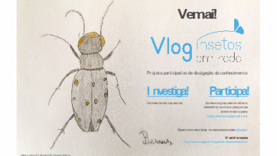 Vlog Insetos em Rede, Projeto participativo de divulgação do conhecimento 