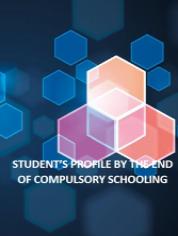 Students’ Profile by the End of Compulsory Schooling