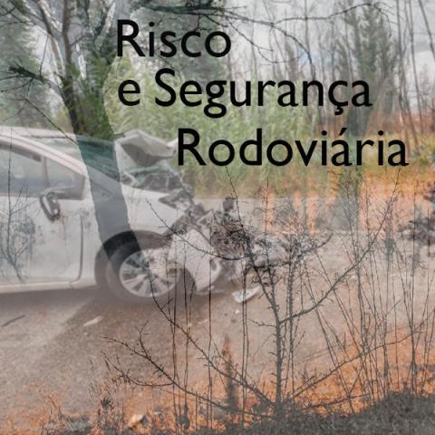 Risco e Segurança Rodoviária