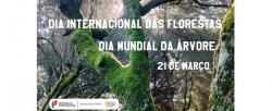 Dia Internacional das Florestas e Dia Mundial da Árvore