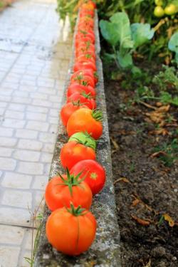 Curso de Formação– ESTRELA Geopark – uma ferramenta didática para o estudo da geodiversidade e da biodiversidade