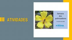 Semana dos Polinizadores